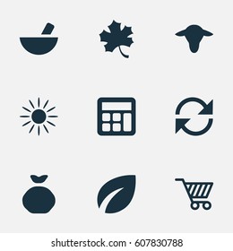 Vector Illustration Set Of Simple Harvest Icons. Elements Leaf, Medicament, Sack And Other Synonyms Arrow, Remedy And Buffalo.