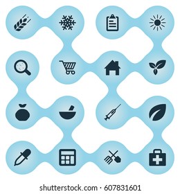 Vector Illustration Set Of Simple Harvest Icons. Elements Plant, Medical Kit, Leaves And Other Synonyms Leaves, Accounting And Plant.