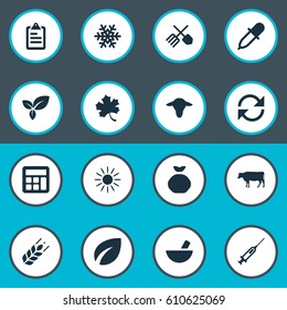 Vector Illustration Set Of Simple Harvest Icons. Elements Pipette, Leaves, Horticulture Equipment And Other Synonyms Grass, Information And Drug.