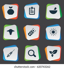 Vector Illustration Set Of Simple Harvest Icons. Elements Sunshine, Syringe, List And Other Synonyms Remedy, Buffalo And Storage.