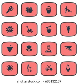 Vector Illustration Set Of Simple Horticulture Icons. Elements Maize, Farmer, Horticultural Gauntlet And Other Synonyms Flower, Summer And Fruit.