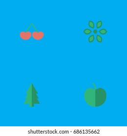 Vector Illustration Set Of Simple Horticulture Icons. Elements Fruit, Berry, Blossom And Other Synonyms Flower, Apple And Blossom.