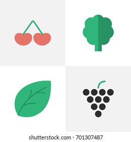 Vector Illustration Set Of Simple Horticulture Icons. Elements Wood, Sheet, Berry And Other Synonyms Sheet, Paper And Wood.