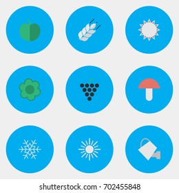 Vector Illustration Set Of Simple Horticulture Icons. Elements Fruit, Wine, Bailer And Other Synonyms Wine, Wineglass And Plant.