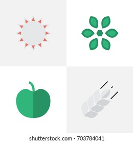 Vector Illustration Set Of Simple Horticulture Icons. Elements Corn, Blossom, Sunny And Other Synonyms Corn, Bread And Pot.