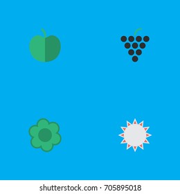 Vector Illustration Set Of Simple Horticulture Icons. Elements Fruit, Flower, Wine And Other Synonyms Fruit, Flower And Grape.