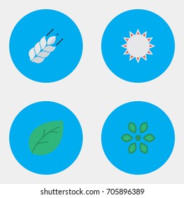 Vector Illustration Set Of Simple Horticulture Icons. Elements Corn, Blossom, Sunny And Other Synonyms Sunny, Pot And Sheet.