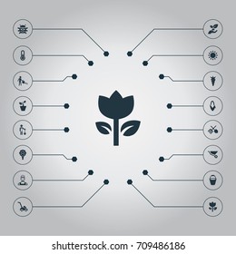 Vector Illustration Set Of Simple Horticulture Icons. Elements Flowerpot, Pail, Apple Timber And Other Synonyms Beetle, Insect And Celsius.