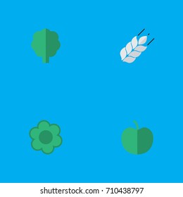 Vector Illustration Set Of Simple Horticulture Icons. Elements Corn, Fruit, Wood And Other Synonyms Wood, Forest And Flower.