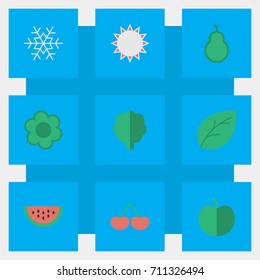 Vector Illustration Set Of Simple Horticulture Icons. Elements Sheet, Berry, Wood And Other Synonyms Apple, Snowflake And Sunny.