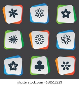 Vector Illustration Set Of Simple  Icons. Elements Chrysanthemums, Floral, Aloha And Other Synonyms Chrysanthemums, Clover And Marguerite.