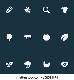 Vector Illustration Set Of Simple  Icons. Elements Dairy, Chicken, Organic And Other Synonyms Life, Forest And Vegetables.