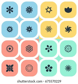 Vector Illustration Set Of Simple  Icons. Elements Orchids, Apple Blossom, Decoration And Other Synonyms Sunflower, Daphne And Aster.