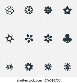 Vector Illustration Set Of Simple  Icons. Elements Florist, Lucky Leaf, Stephanotis And Other Synonyms Blossom, Windflower And Lucky.