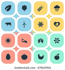 Vector Illustration Set Of Simple  Icons. Elements Sunshine, Spring, Grain And Other Synonyms Fruit, Food And Nature.