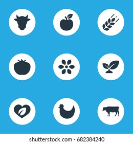 Vector Illustration Set Of Simple  Icons. Elements Dairy, Vegetables, Blossom And Other Synonyms Bloom, Apple And Vegetarian.