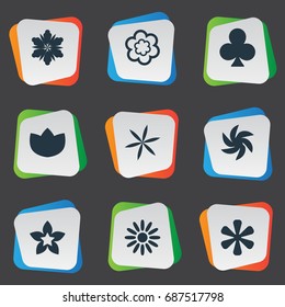 Vector Illustration Set Of Simple  Icons. Elements Sword Lily, Helianthus, Lucky Leaf And Other Synonyms Floral, Flower And Ranunculus.