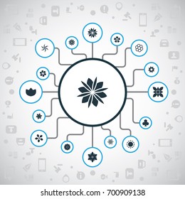 Vector Illustration Set Of Simple  Icons. Elements Anemone, Camellia, Lucky Leaf And Other Synonyms Windflower, Flower And Glory.