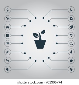 Vector Illustration Set Of Simple  Icons. Elements Duchess, Maize, Barrier And Other Synonyms Zebra, Animal And Maize.