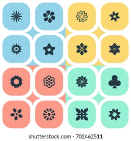Vector Illustration Set Of Simple  Icons. Elements Jasmine, Petal, Ornament And Other Synonyms Ornament, Glory And Crocus.