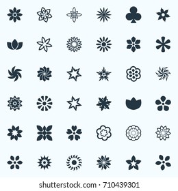 Vector Illustration Set Of Simple  Icons. Elements Larkspur, Peonies, Gerberas And Other Synonyms Hibiscus, Rose And Ornament.