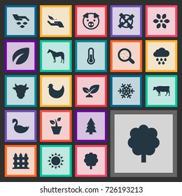 Vector Illustration Set Of Simple  Icons. Elements Pig, Sunshine, Cloud And Other Synonyms Bacteria, Eco And Growth.