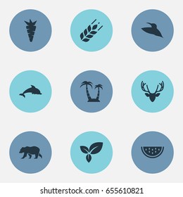 Vector Illustration Set Of Simple Natural Icons. Elements Bird, Plant, Polar Bear And Other Synonyms Dorado, Herb And Watermelon.