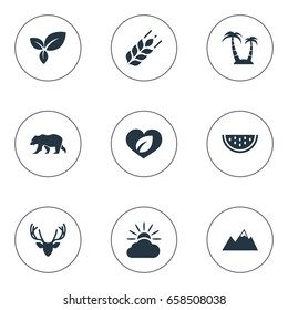 Vector Illustration Set Of Simple Natural Icons. Elements Cantaloupe, Reef, Plant And Other Synonyms Reef, Cantaloupe And Moose.