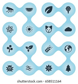 Vector Illustration Set Of Simple Natural Icons. Elements Cantaloupe, Bloom, Sunlight And Other Synonyms Petal, Nature And Rose.