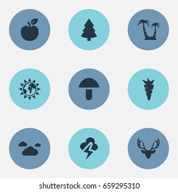 Vector Illustration Set Of Simple Natural Icons. Elements Clouds, Carrot, Morning And Other Synonyms Tree, Earth And Moose.