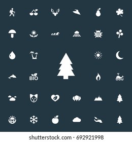Vector Illustration Set Of Simple Natural Icons. Elements Winter, Nature Protection, Travel And Other Synonyms Fruits, Wing And Dog.