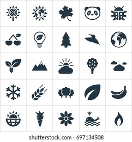 Vector Illustration Set Of Simple Natural Icons. Elements Planet, Solar Energy, Bird And Other Synonyms Bird, Summit And Ignite.