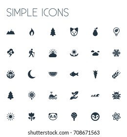 Vector Illustration Set Of Simple Natural Icons. Elements Insects, Sea, Frost And Other Synonyms Whale, Fruit And Moon.