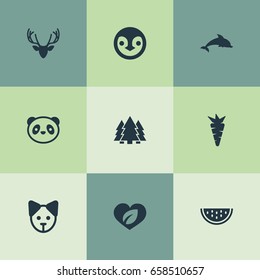 Vector Illustration Set Of Simple Nature Icons. Elements Cantaloupe, Carrot, Leaf And Other Synonyms Diver, Carrot And Dorado.