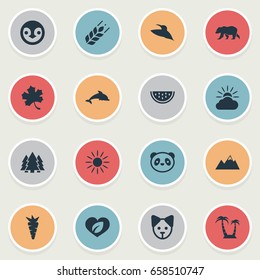 Vector Illustration Set Of Simple Nature Icons. Elements Carrot, Bear, Grampus And Other Synonyms Polar, Reef And Soul.