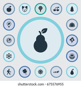Vector Illustration Set Of Simple Nature Icons. Elements Shamrock, Sea, Organic Nutrition And Other Synonyms Vegetarian, Dog And Apple.