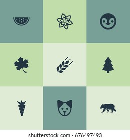 Vector Illustration Set Of Simple Nature Icons. Elements Timber, Frond, Grain And Other Synonyms Tree, Leaf And Fir.