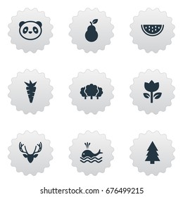 Vector Illustration Set Of Simple Nature Icons. Elements Organic Nutrition, Carrot, Bear And Other Synonyms Tree, Pear And Floral.
