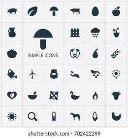 Vector Illustration Set Of Simple Nature Icons. Elements Fruit, Swine, Pitcher And Other Synonyms Rain, Bailer And Leaf.