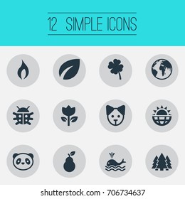 Vector Illustration Set Of Simple Nature Icons. Elements Ignite, Jungle, Insects And Other Synonyms Garden, Woods And Leaf.