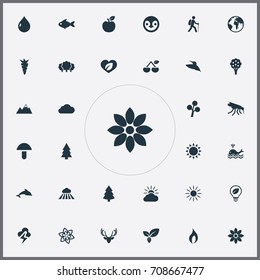 Vector Illustration Set Of Simple Nature Icons. Elements Sunlight, Bloom, Weather And Other Synonyms Seafood, Mammal And Apple.