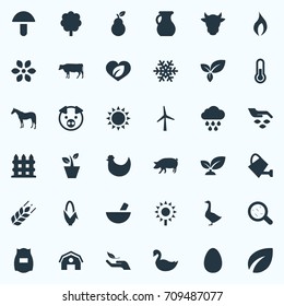 Vector Illustration Set Of Simple Nature Icons. Elements Sunshine, Plant, Goose And Other Synonyms Care, Protect And Wheat.