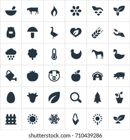 Vector Illustration Set Of Simple Nature Icons. Elements Grain, Gardening, Zebra And Other Synonyms Vegetarian, Mallard And Vegetables.
