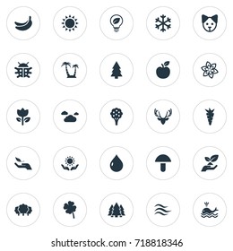 Vector Illustration Set Of Simple Nature Icons. Elements Orca, Jungle, Reef And Other Synonyms Drop, Wave And Forest.