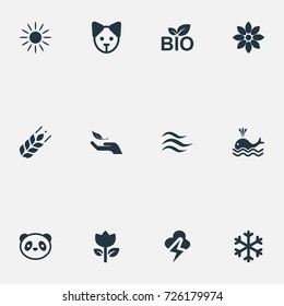 Vector Illustration Set Of Simple Nature Icons. Elements Tulips, Lightning, Nature Protection And Other Synonyms Canine, Flower And Shine.