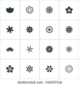 Vector Illustration Set Of Simple Rose Icons. Elements Camomile, Floral, Morning Glory And Other Synonyms Chamomile, Sunflower And Sweet Pea.