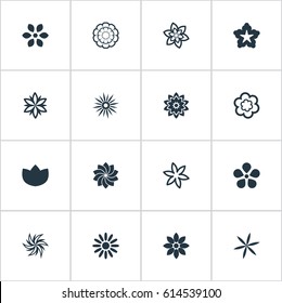 Vector Illustration Set Of Simple Rose Icons. Elements Crocus, Helianthus, Delphinium And Other Synonyms Laurel, Ranunculus And Marigold.