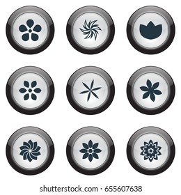 Vector Illustration Set Of Simple Rose Icons. Elements Aster, Crocus, Laurel And Other Synonyms Marigold, Delphinium And Apple Blossom.