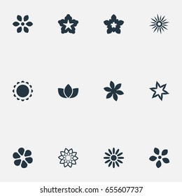 Vector Illustration Set Of Simple Rose Icons. Elements Apple Blossom, Daisy, Florist And Other Synonyms Laurel, Floret And Florist.