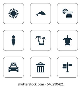 Vector Illustration Set Of Simple Seaside Icons. Elements Tortoise, Palm, Mammal Fish And Other Synonyms Mammalian, Adventure And Sun.